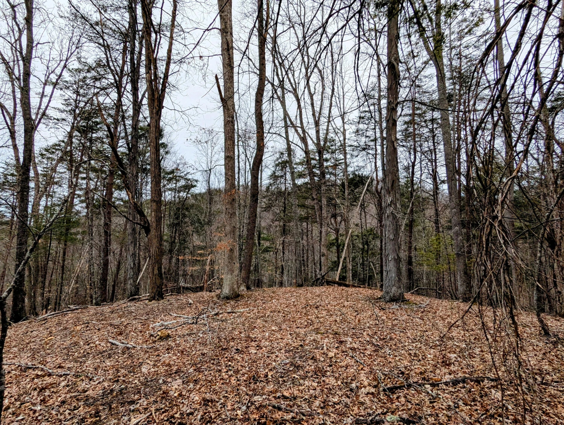 TBD Yates RD - Photo 5