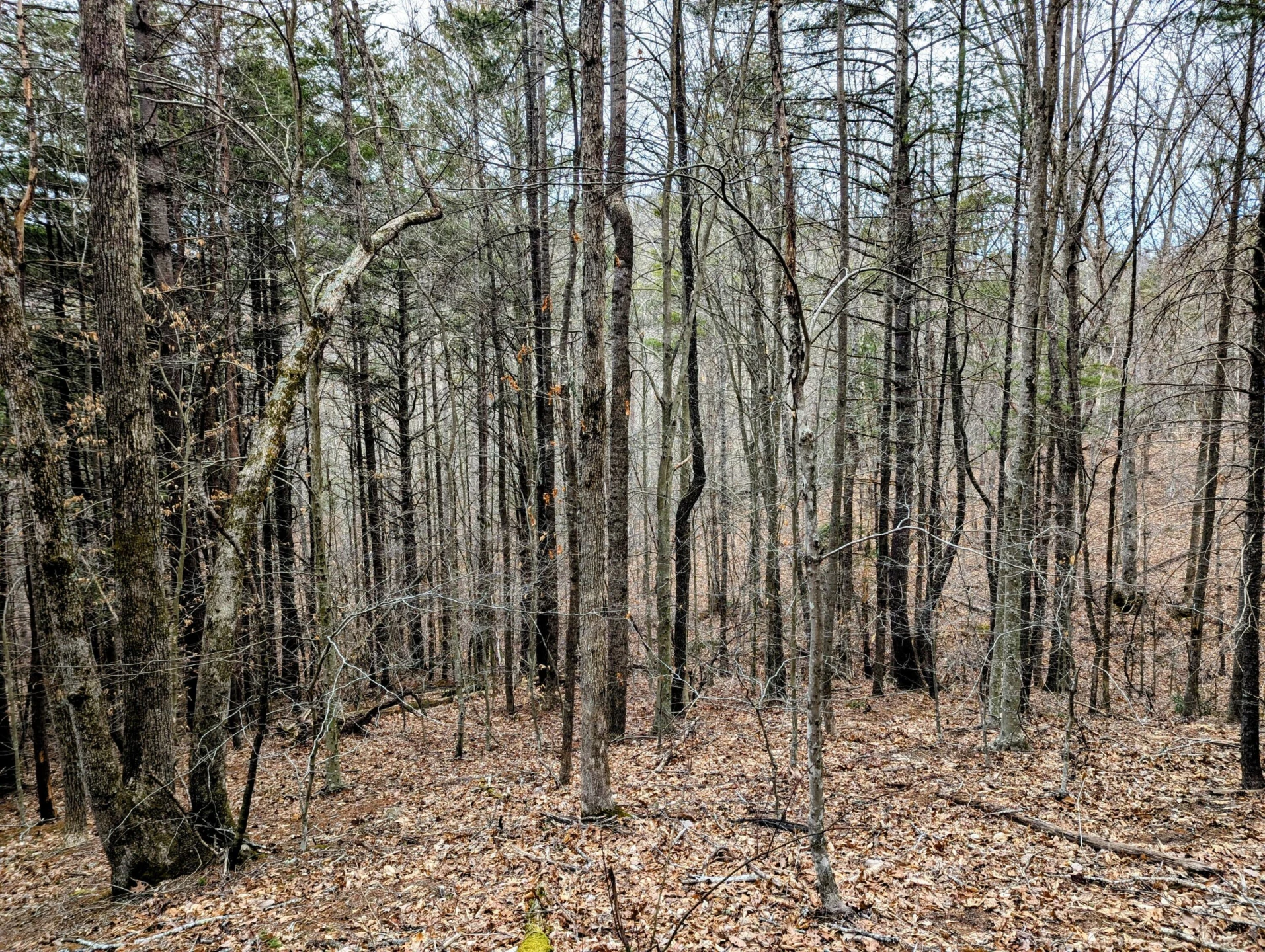 TBD Yates RD - Photo 6