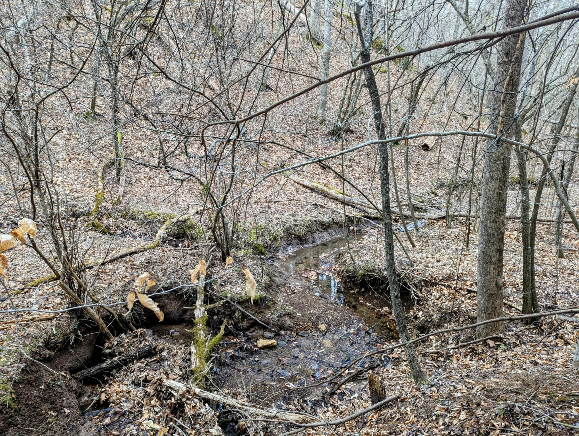 TBD Yates RD - Photo 9