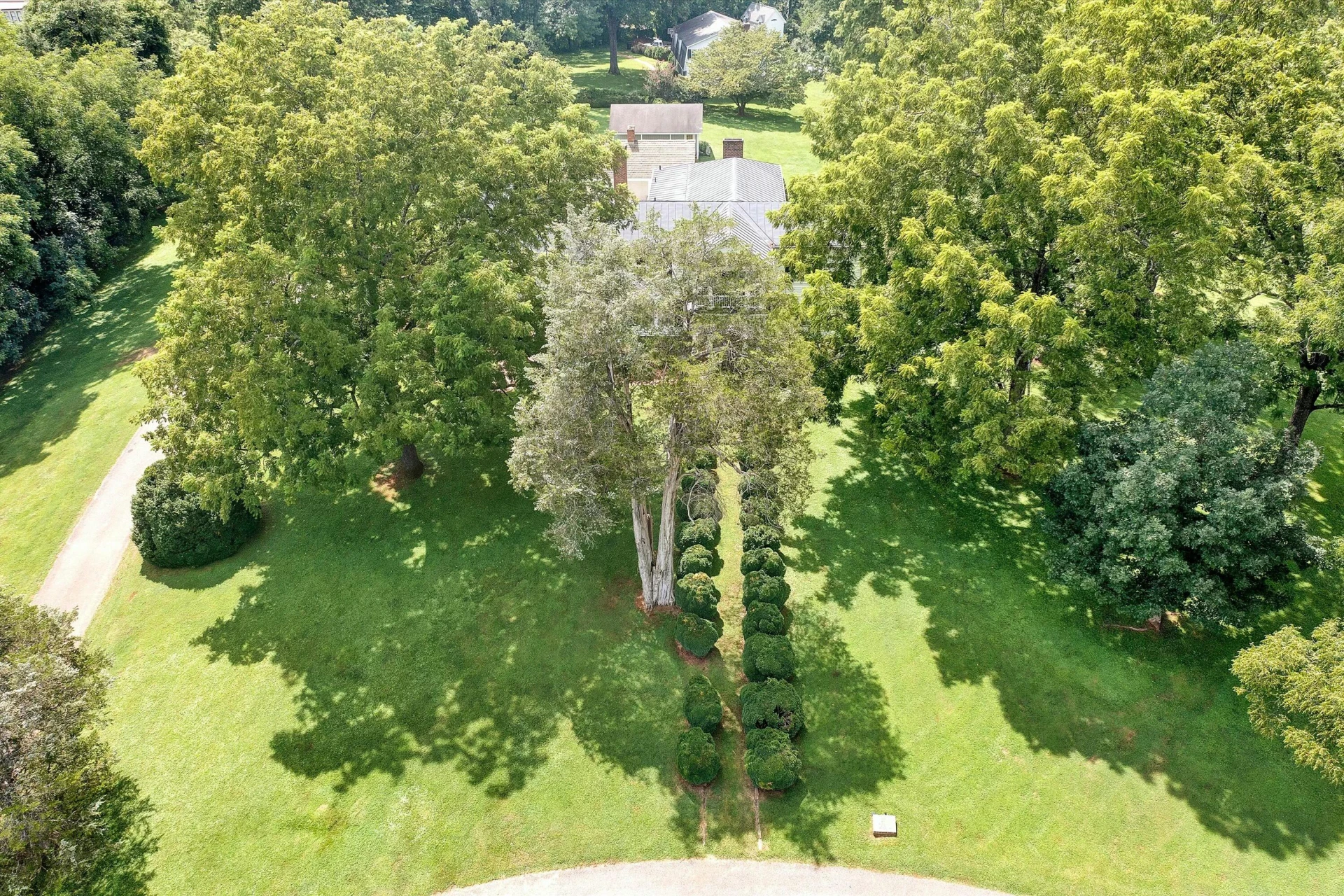 65 Lawndale ST - Photo 80