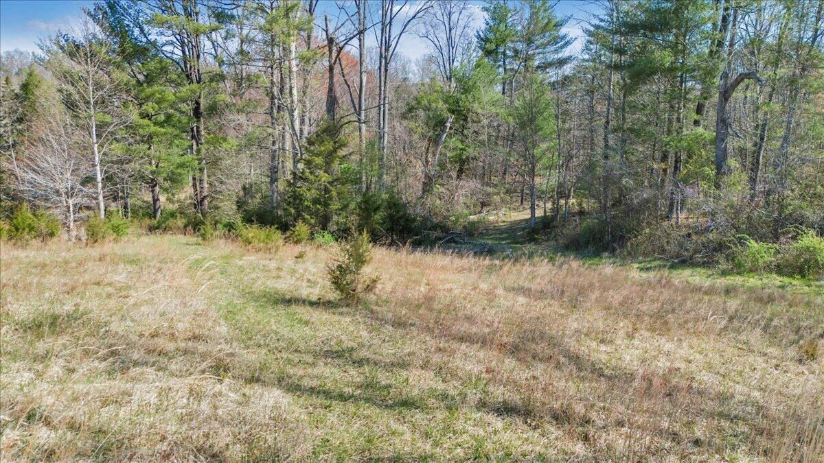 0 Timber Bridge RD - Photo 14