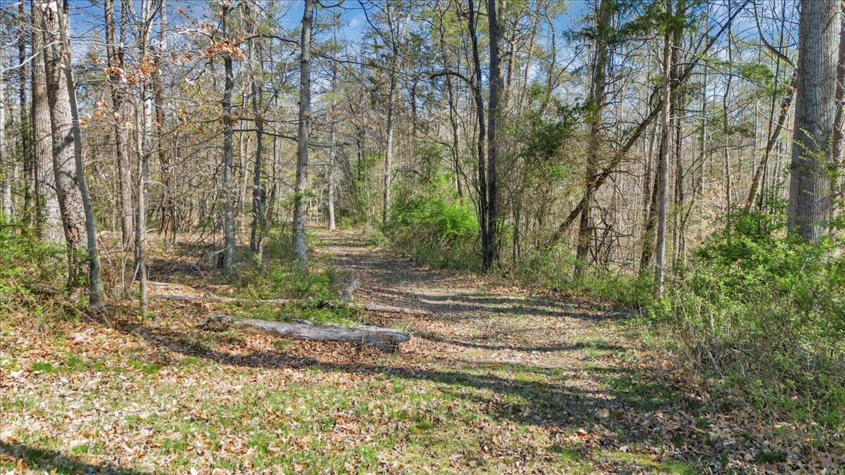 0 Timber Bridge RD - Photo 15