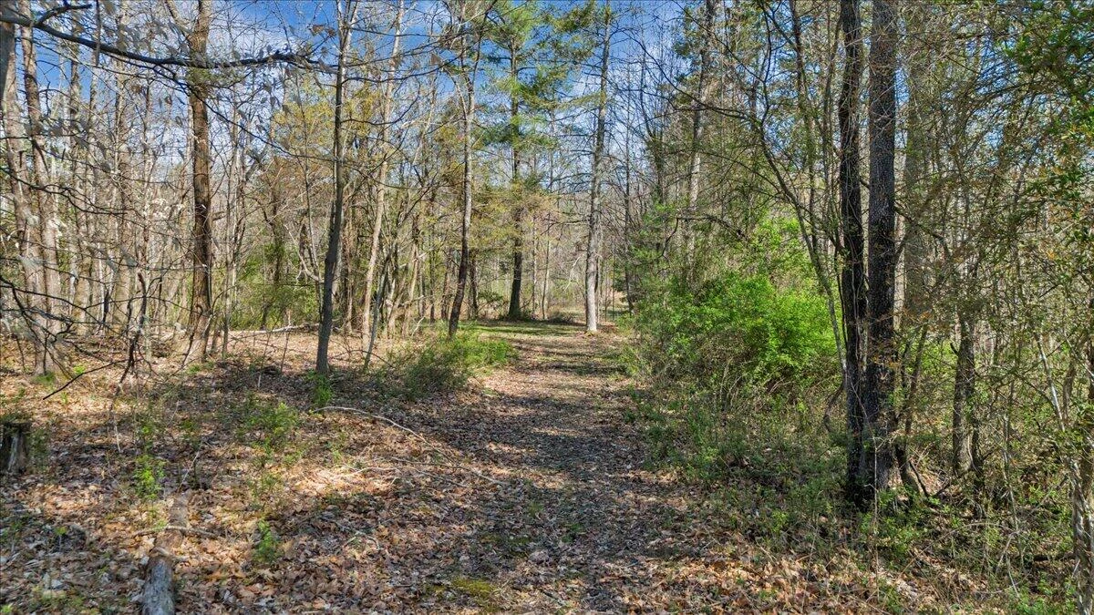 0 Timber Bridge RD - Photo 16