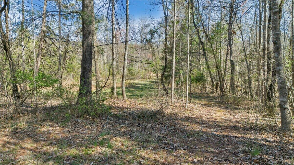 0 Timber Bridge RD - Photo 17