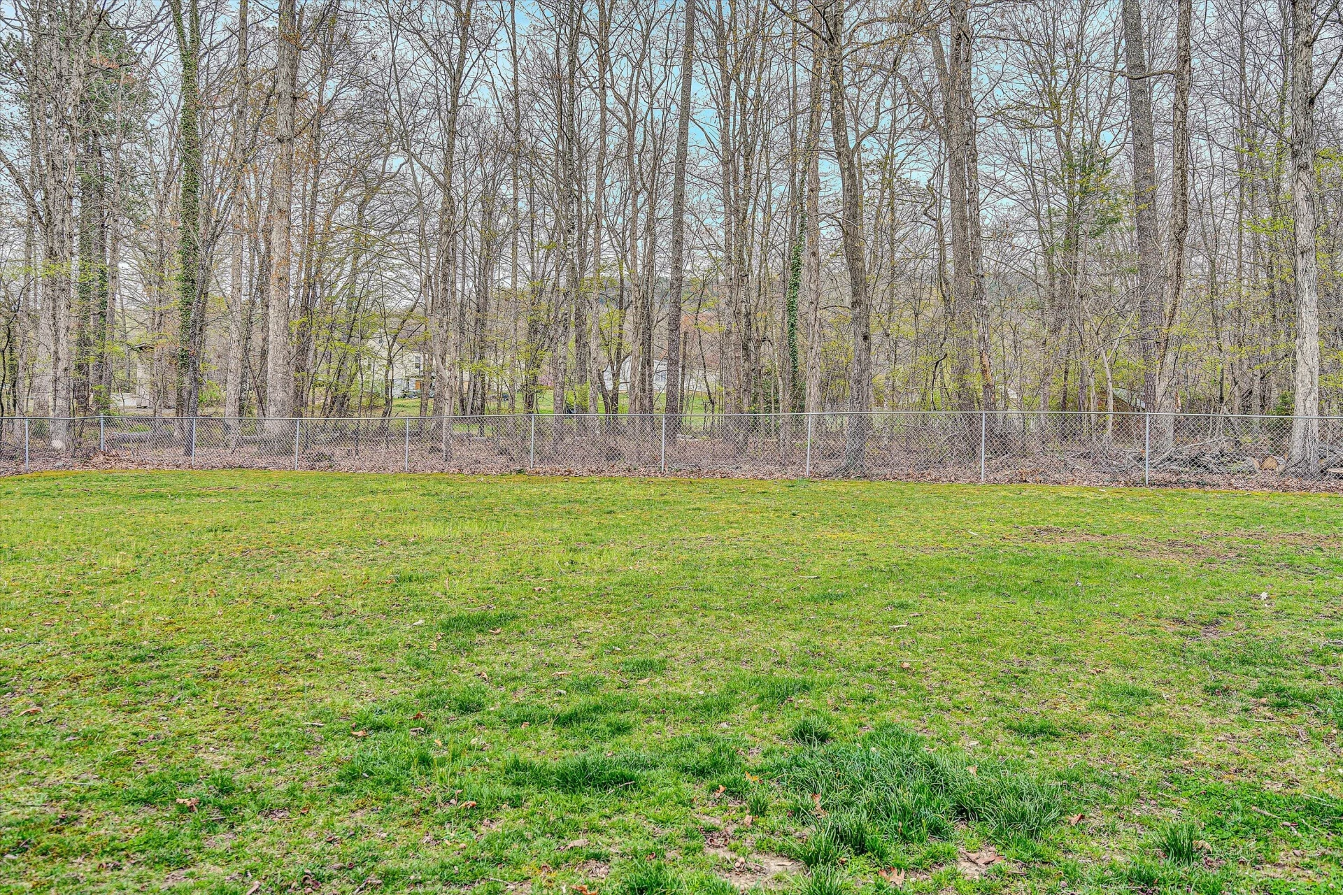 3544 Buck Mountain RD - Photo 46