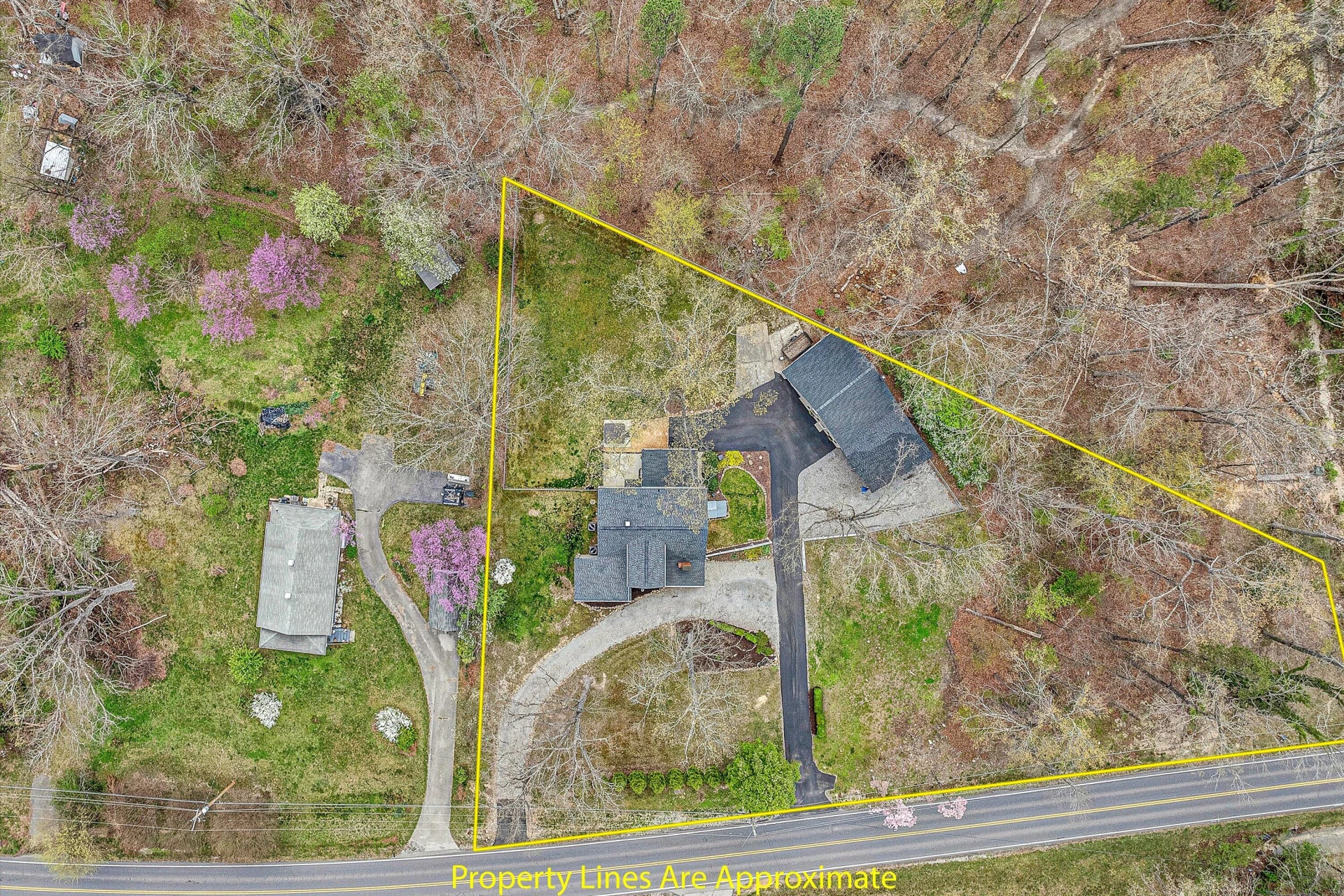3544 Buck Mountain RD - Photo 57