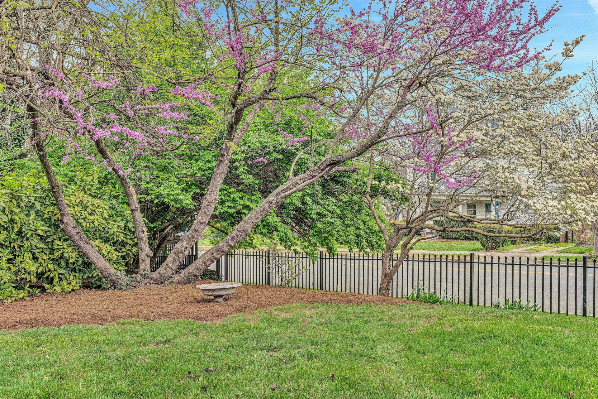1201 Ivy ST - Photo 76