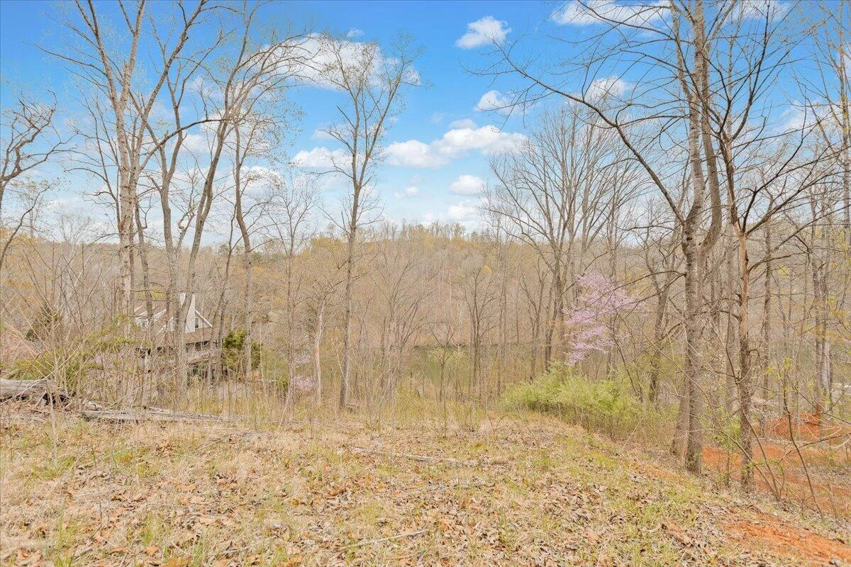 Lot 82 Lakeshore Terrace RD - Photo 12