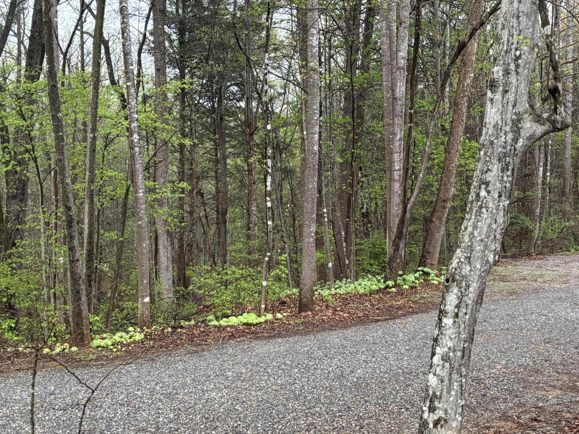 980 Power Dam RD - Photo 52