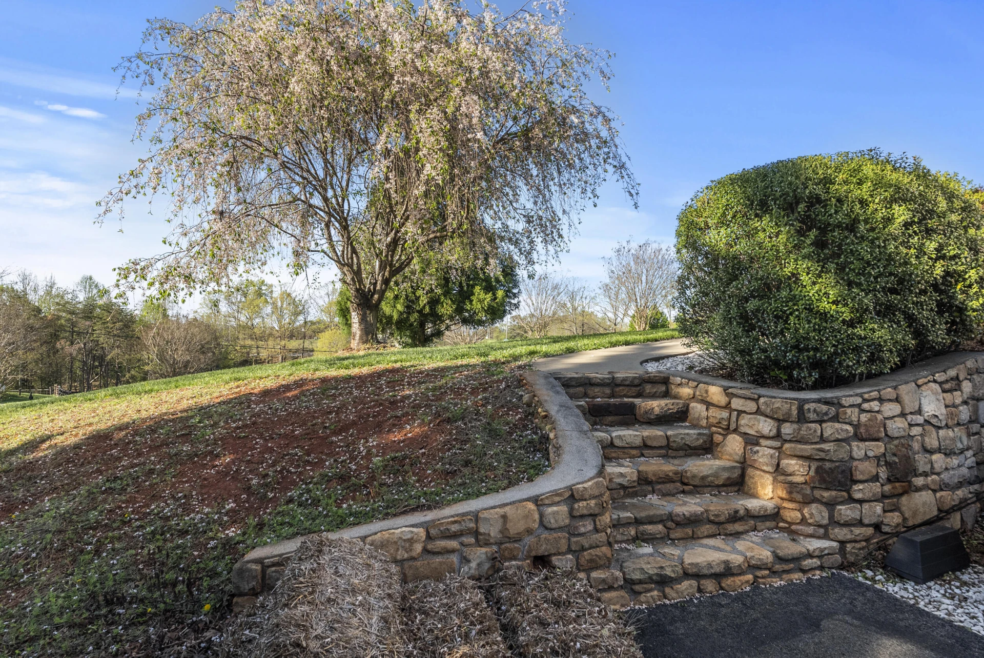 3676 Horseshoe Bend RD - Photo 12