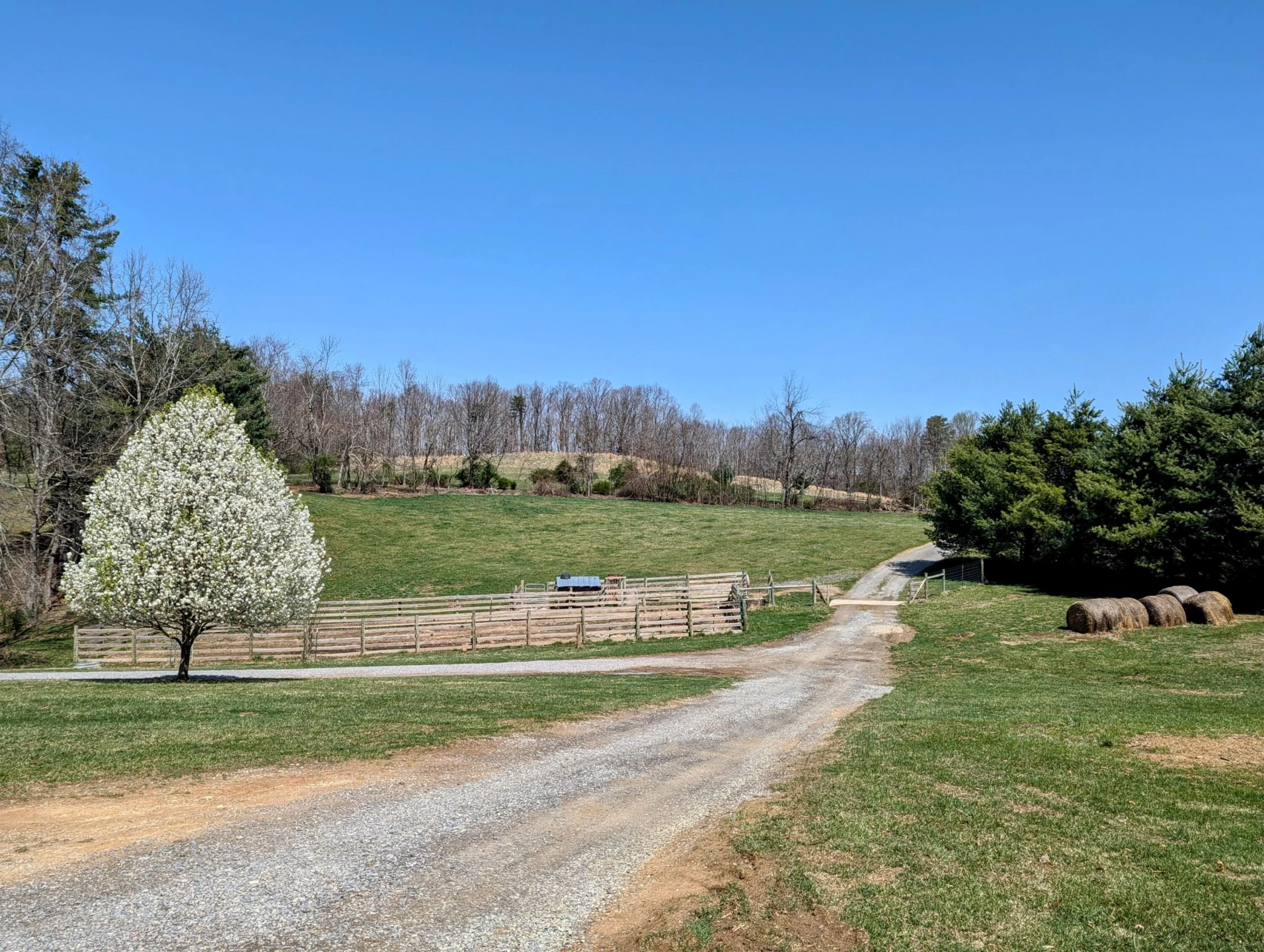 285 Dye DR - Photo 6