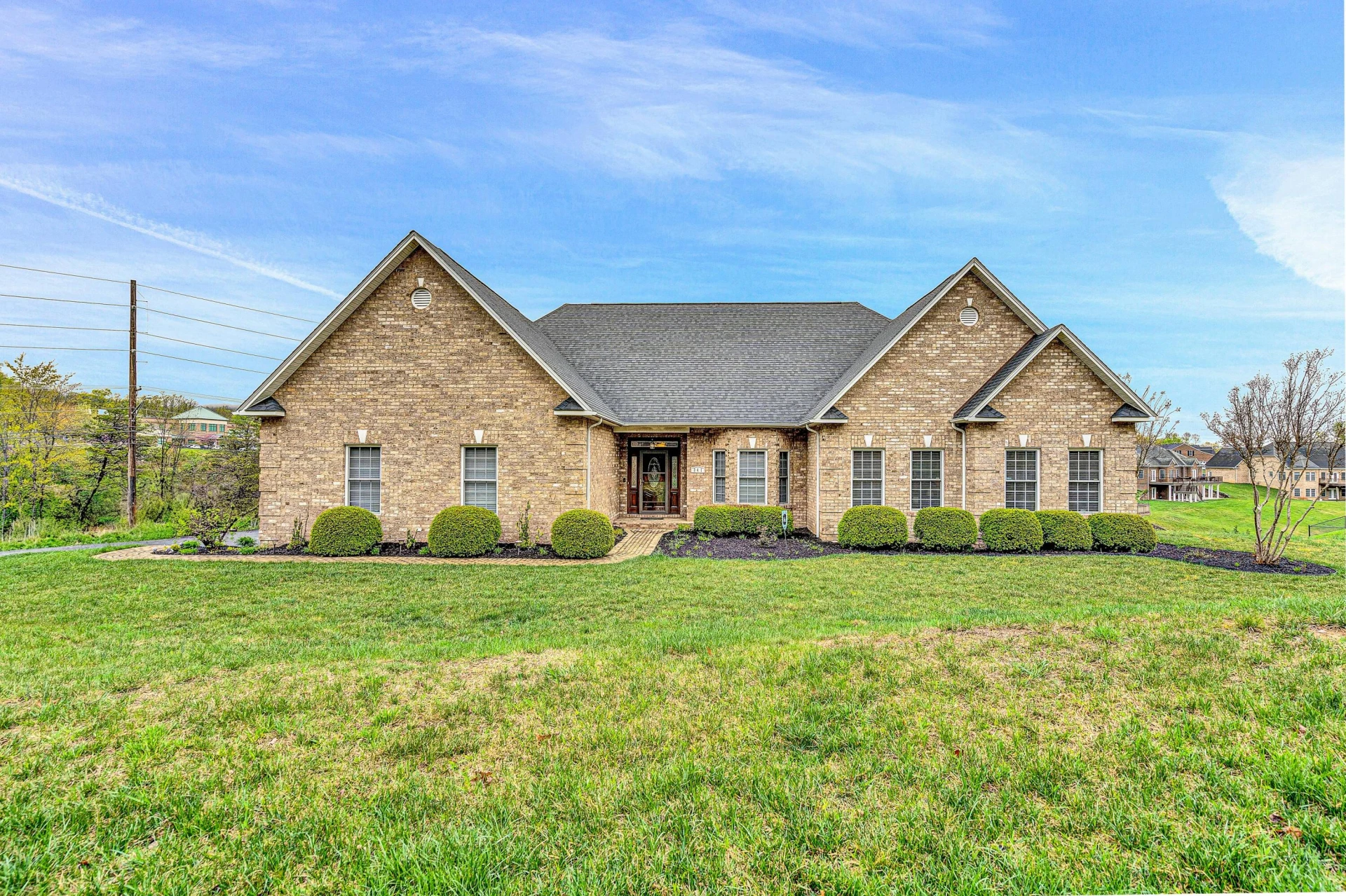 341 Penguin LN