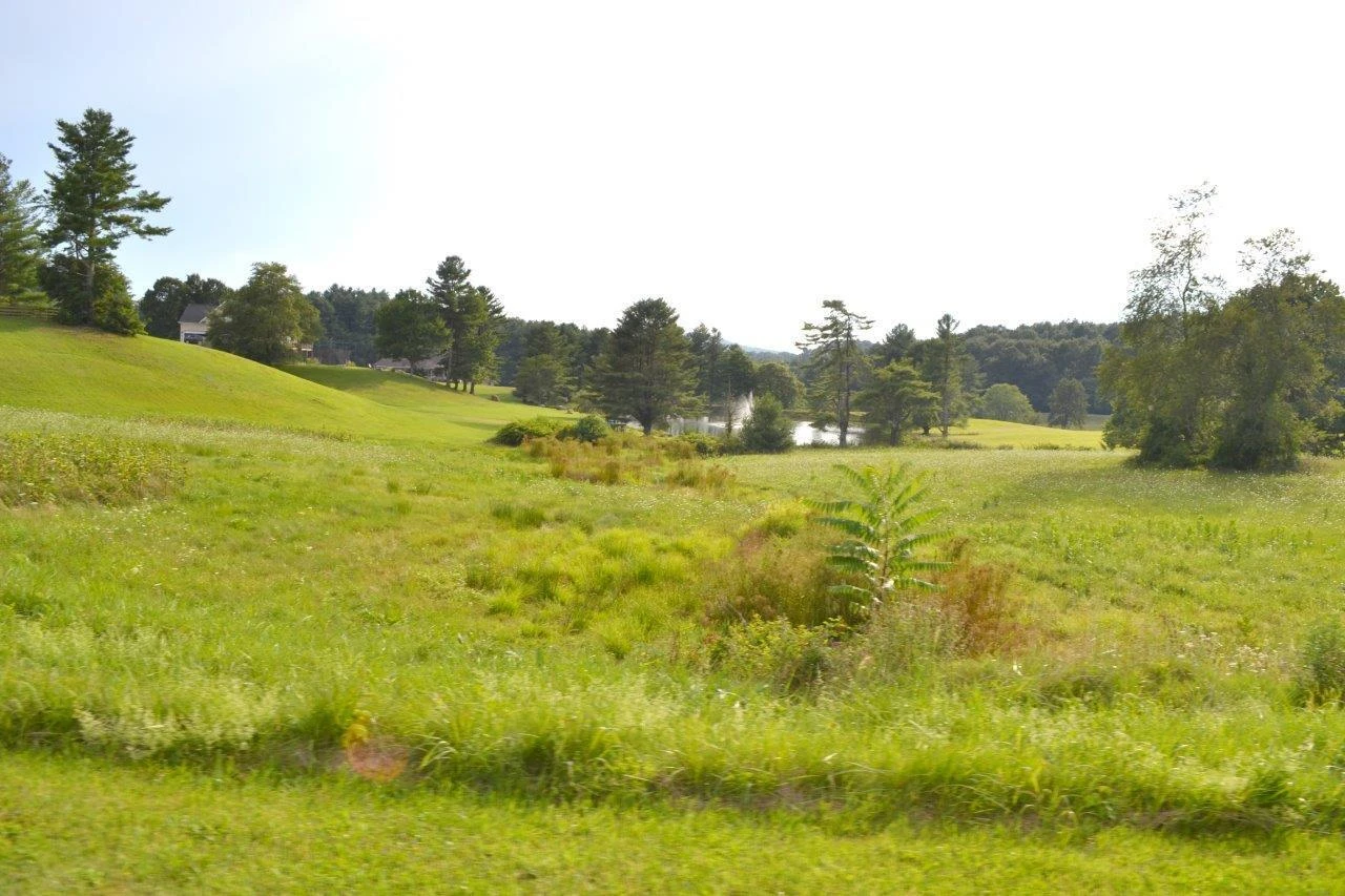 244 Cobble LN - Photo 9