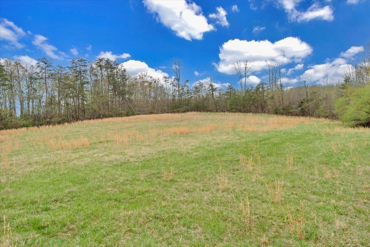 1222 Catfish CT - Photo 37