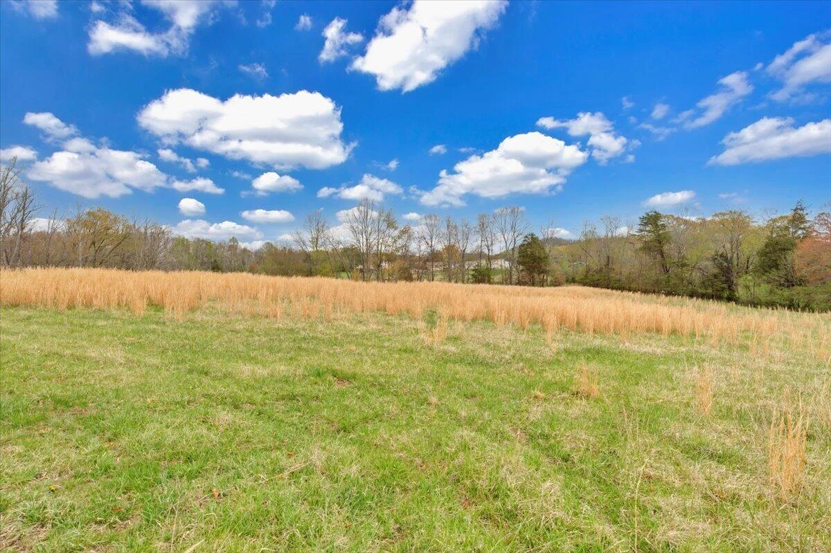 1222 Catfish CT - Photo 38