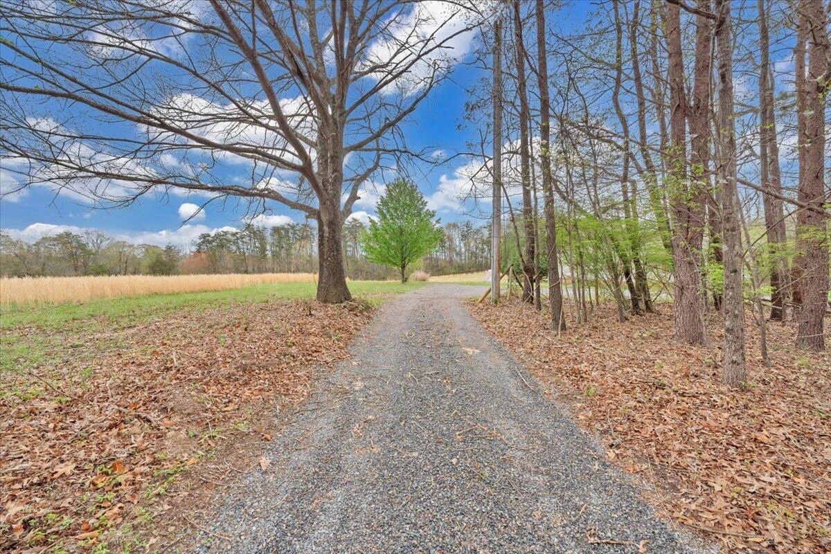 1222 Catfish CT - Photo 39