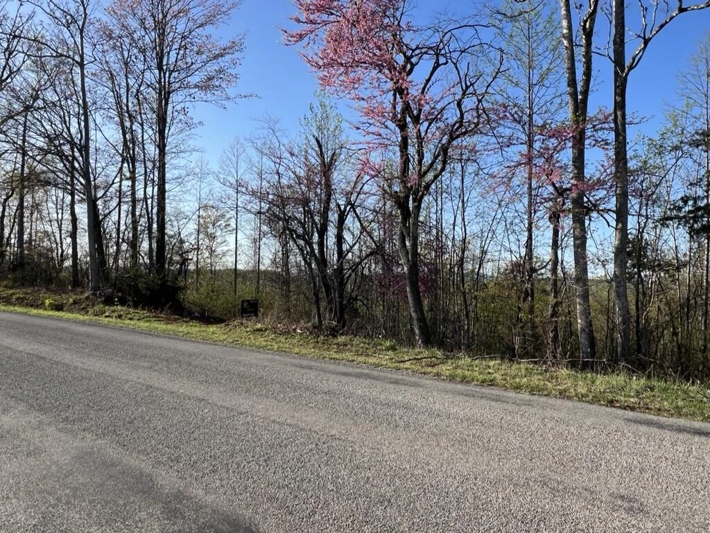 0 Fork Mountain RD
