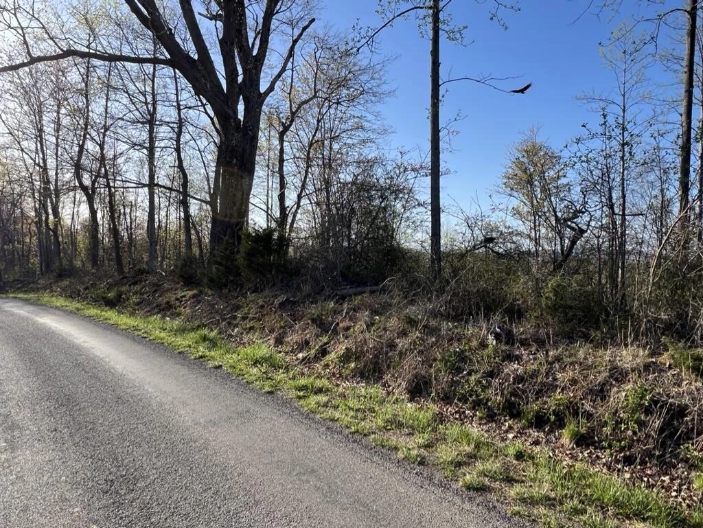 0 Fork Mountain RD - Photo 2