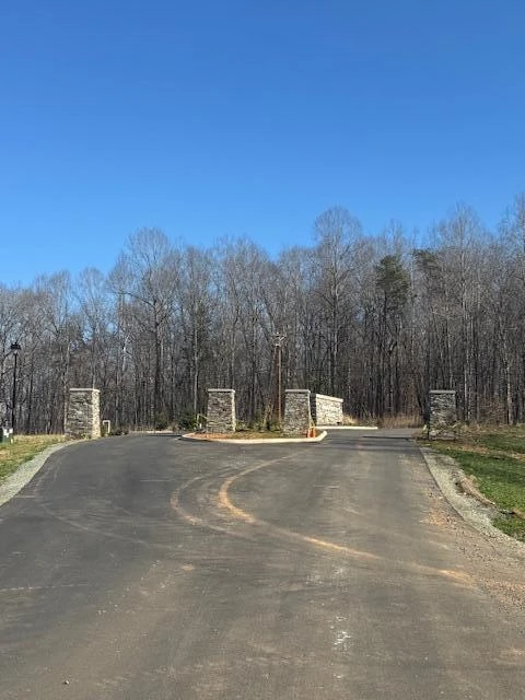 Lot 27 Bridgewater Grande DR - Photo 8