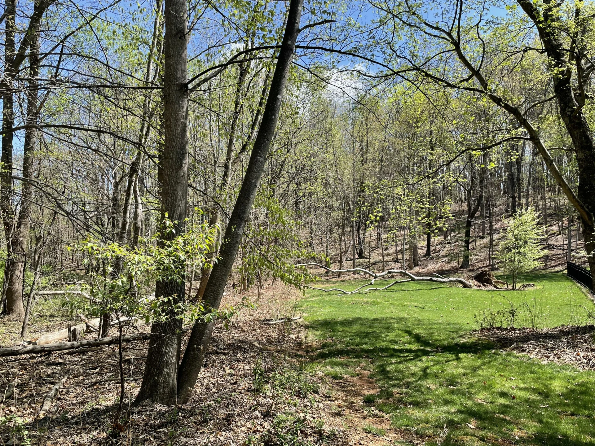Lot 5 Fort Lewis Church RD - Photo 2