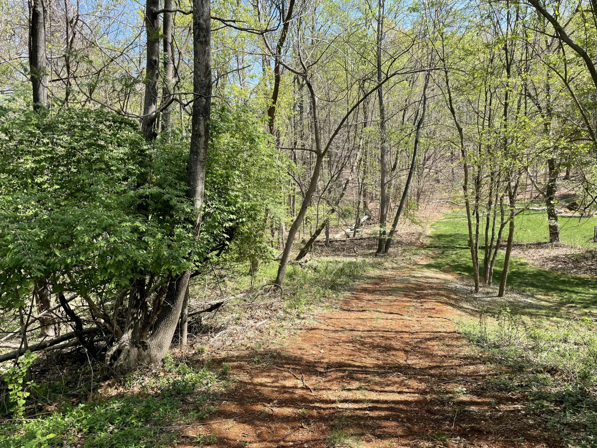 Lot 5 Fort Lewis Church RD - Photo 3