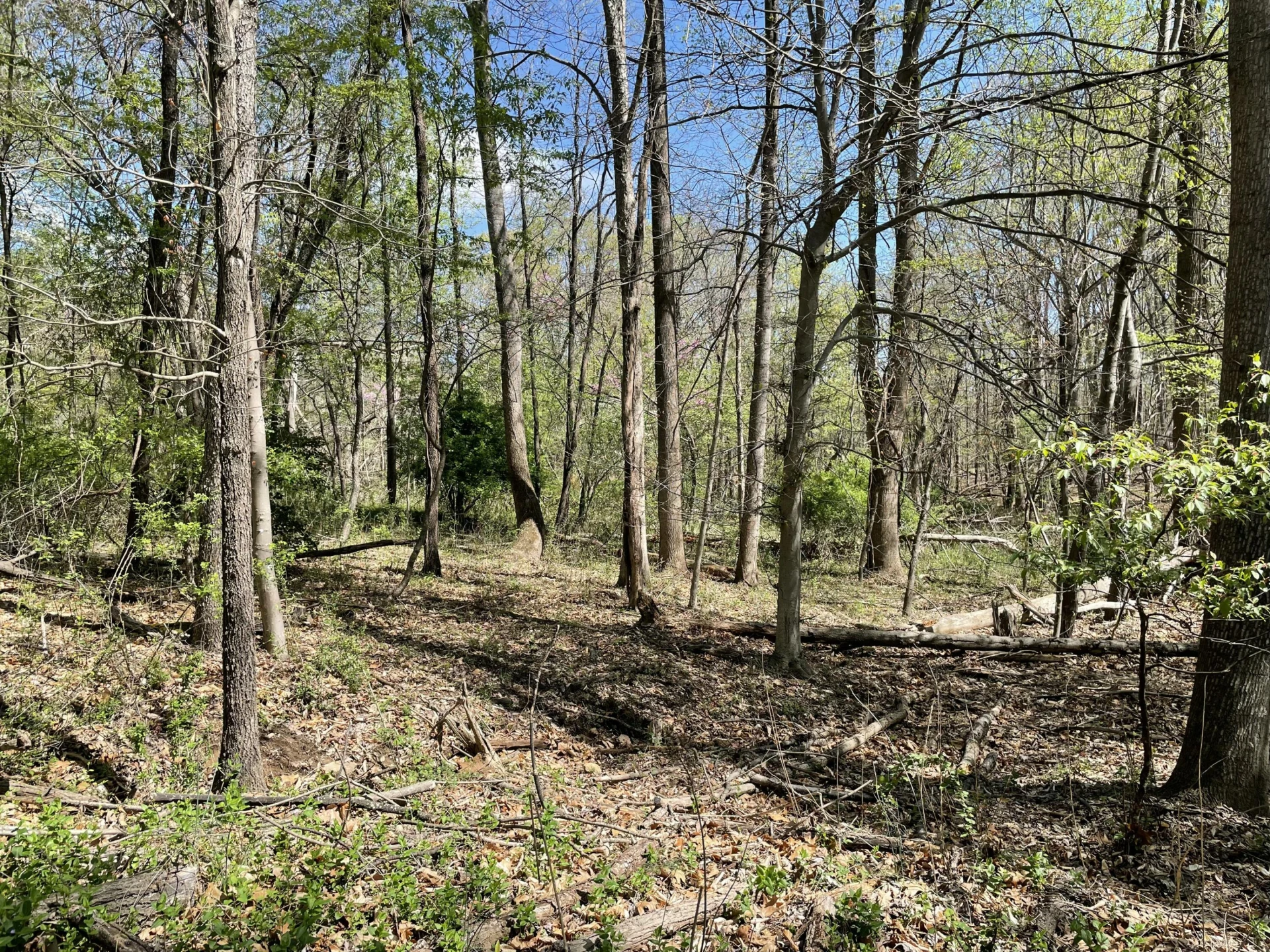 Lot 5 Fort Lewis Church RD - Photo 7
