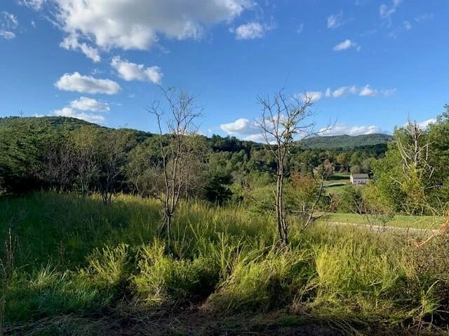 7409 Old Mill Plantation DR