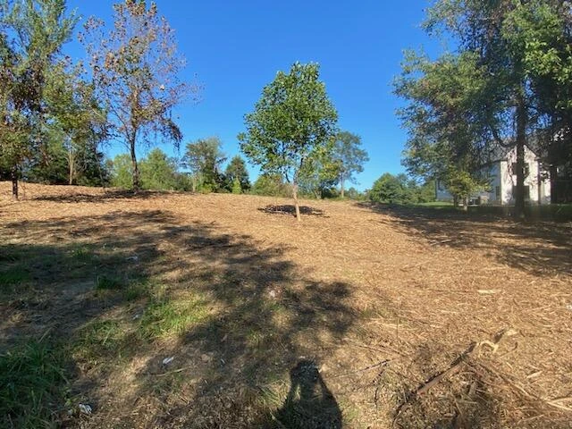 7409 Old Mill Plantation DR - Photo 2