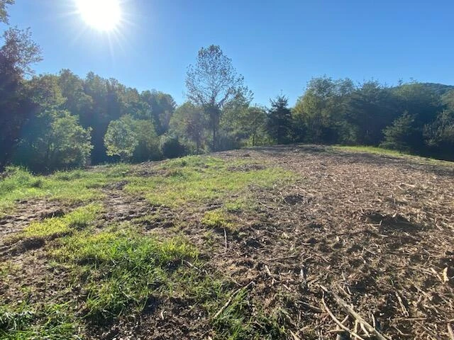 7409 Old Mill Plantation DR - Photo 3