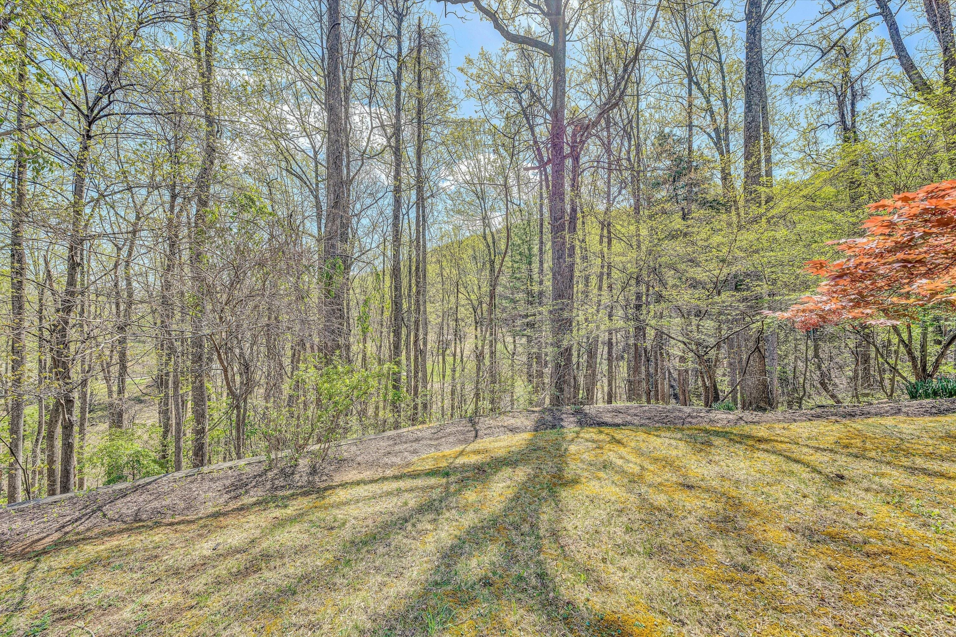 6671 Mallard Lake CT - Photo 43