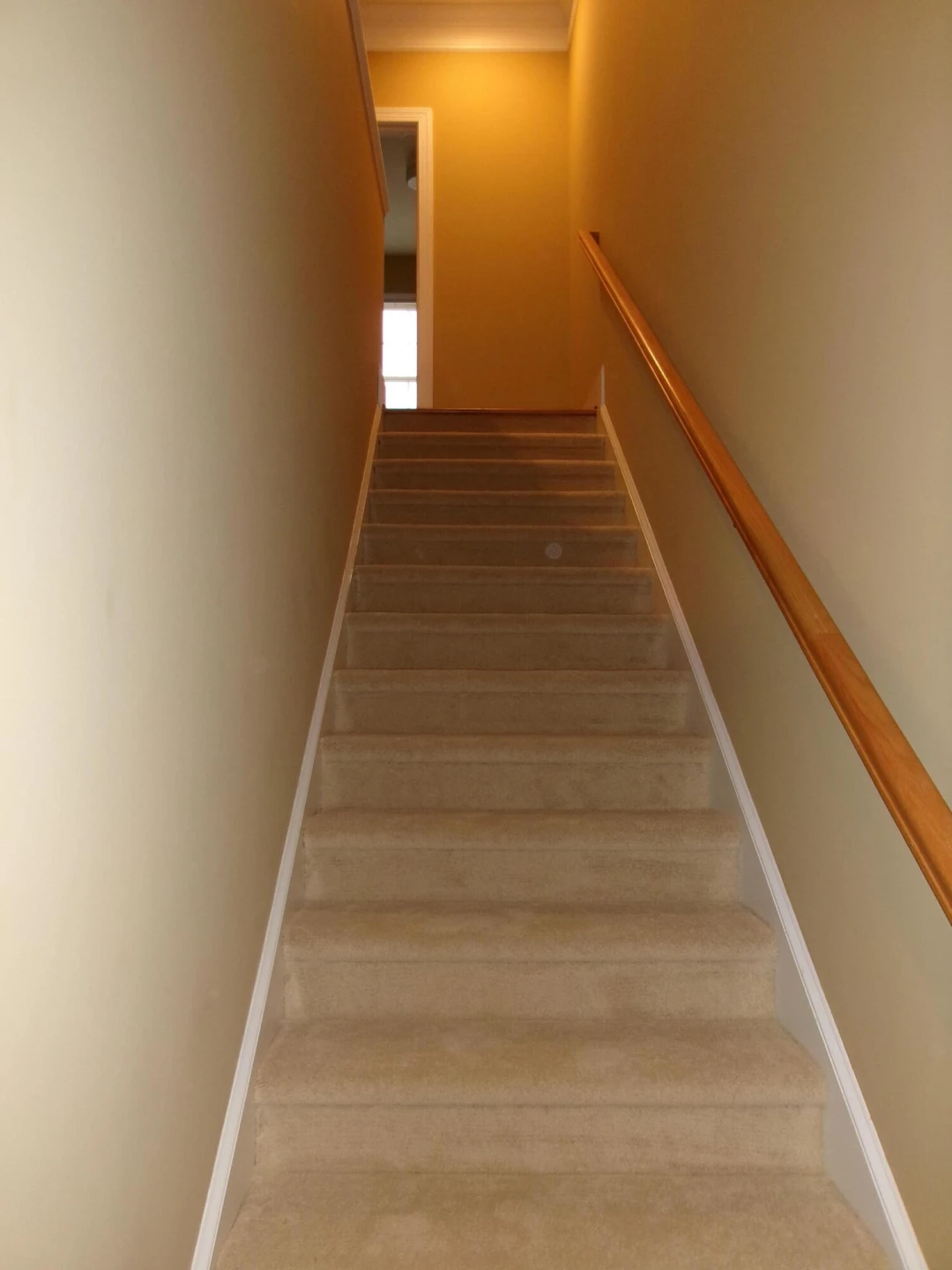 3825 Colonial Green Circle - Photo 27