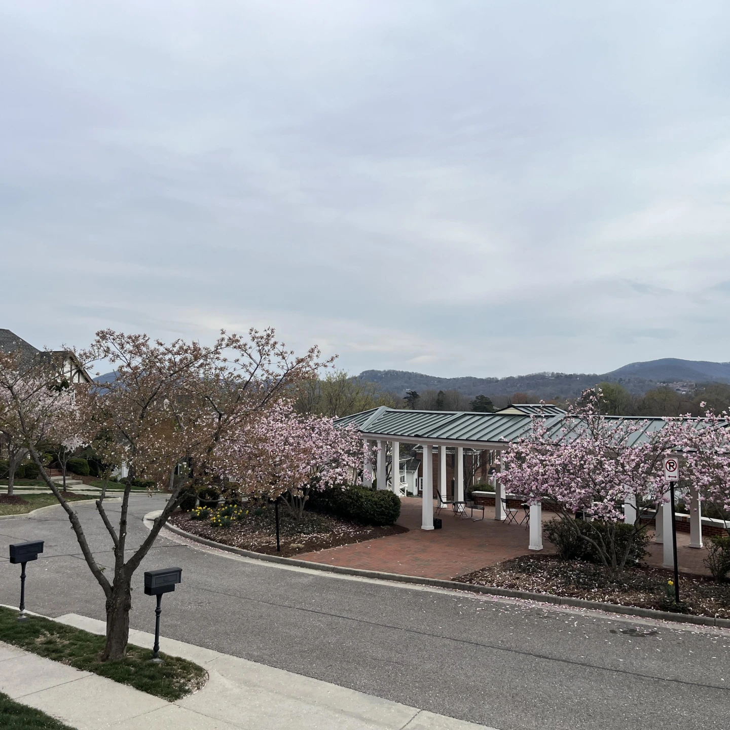 3825 Colonial Green Circle - Photo 52