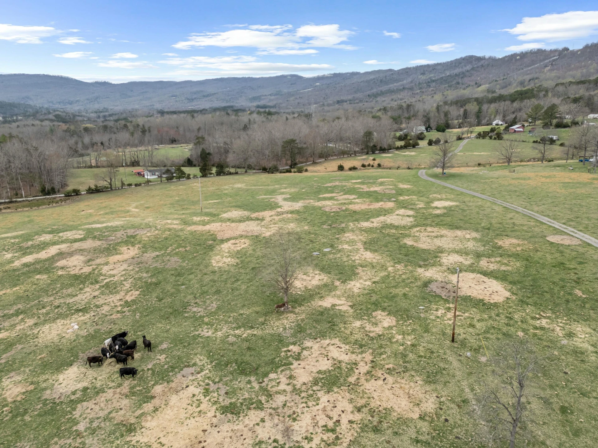 3588 Flatwoods RD - Photo 106
