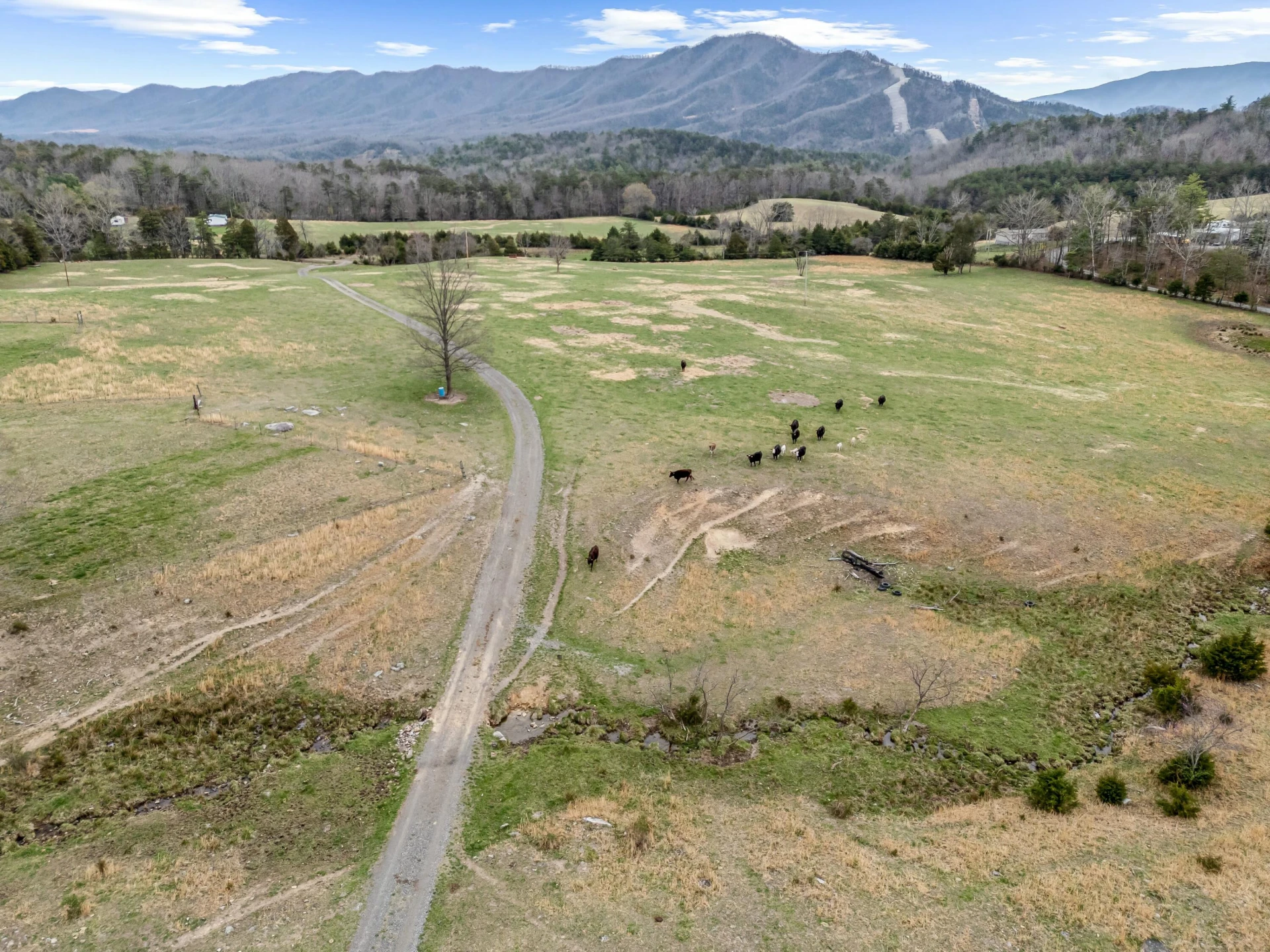 3588 Flatwoods RD - Photo 116