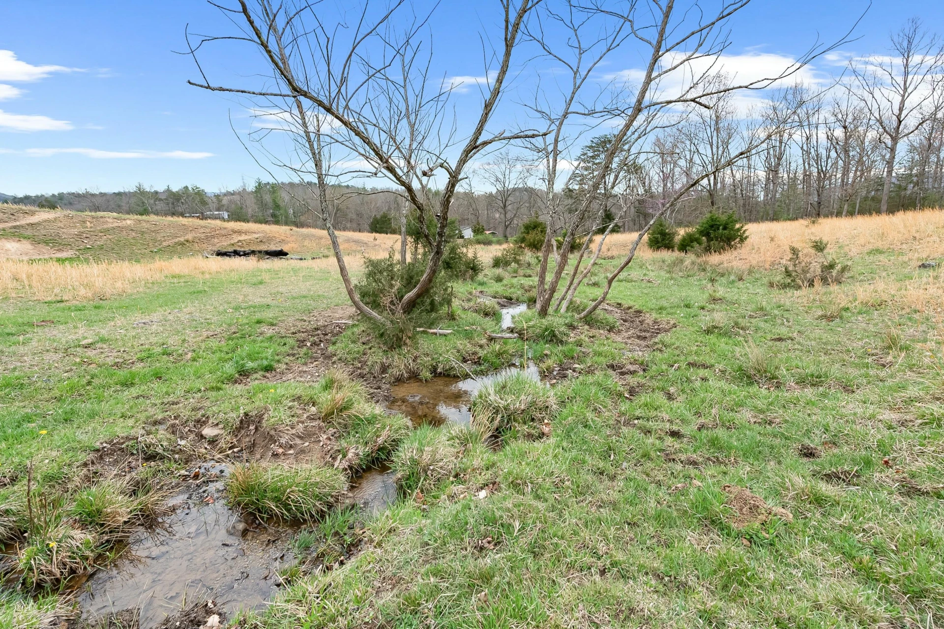 3588 Flatwoods RD - Photo 54