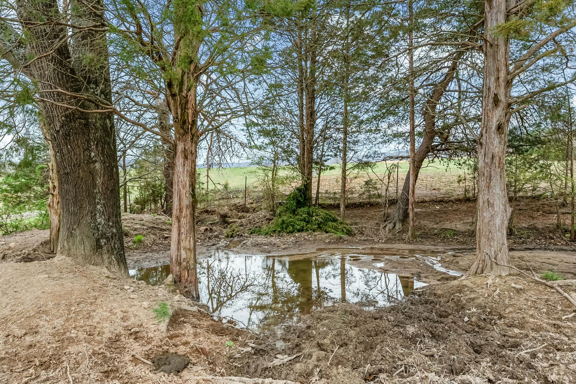 3588 Flatwoods RD - Photo 91