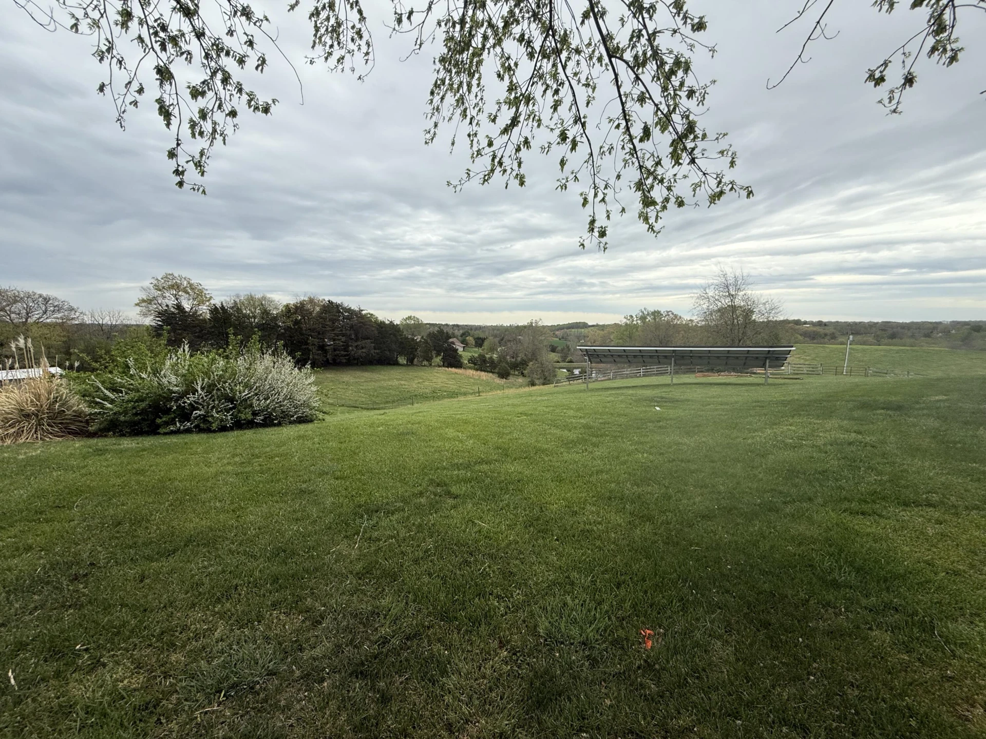 2487 ALEAN RD - Photo 9