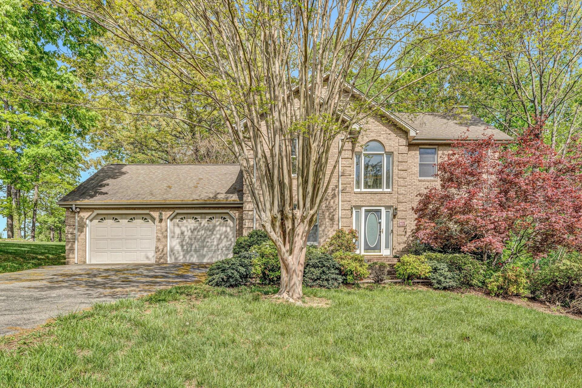 58 Dove CT