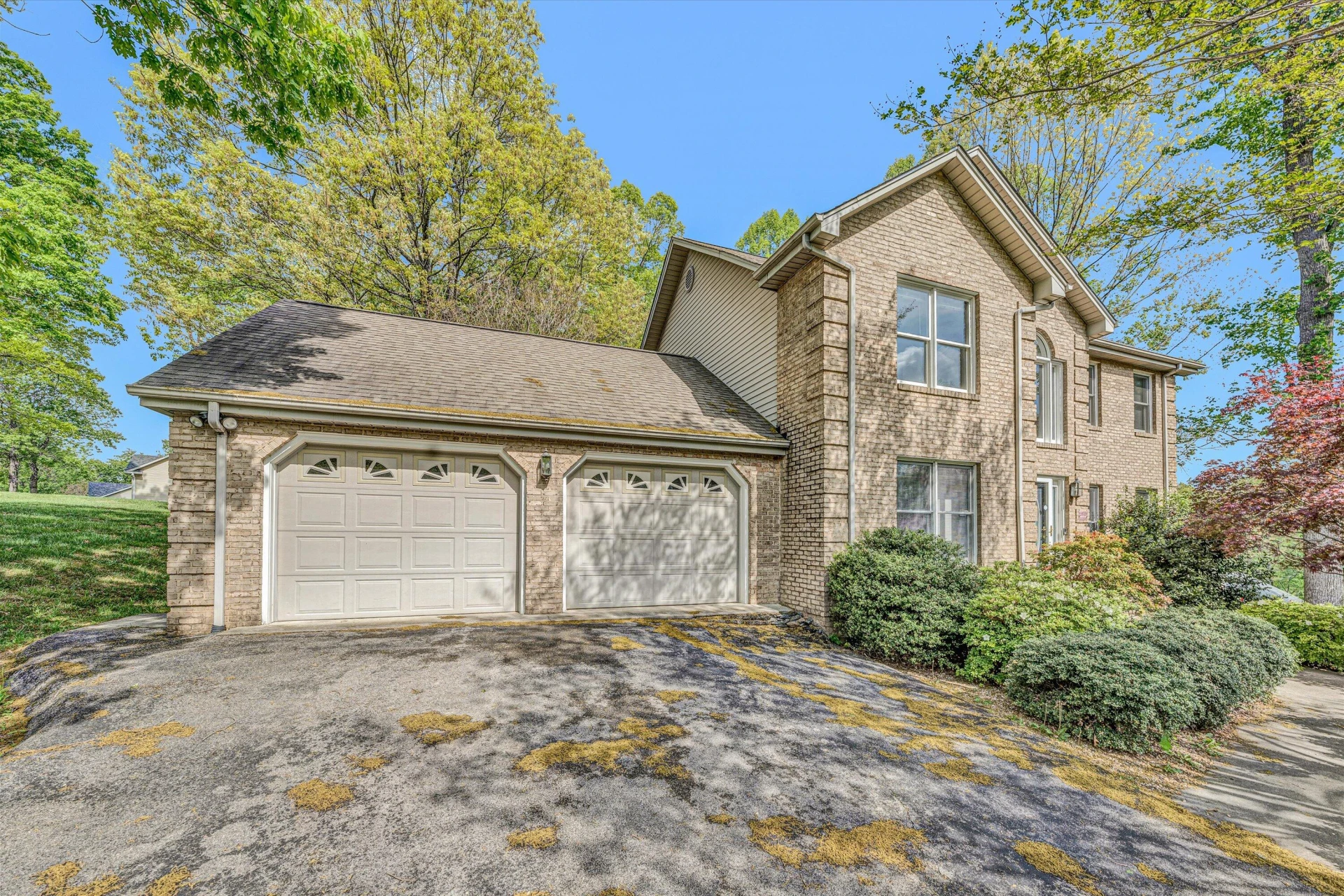 58 Dove CT - Photo 3