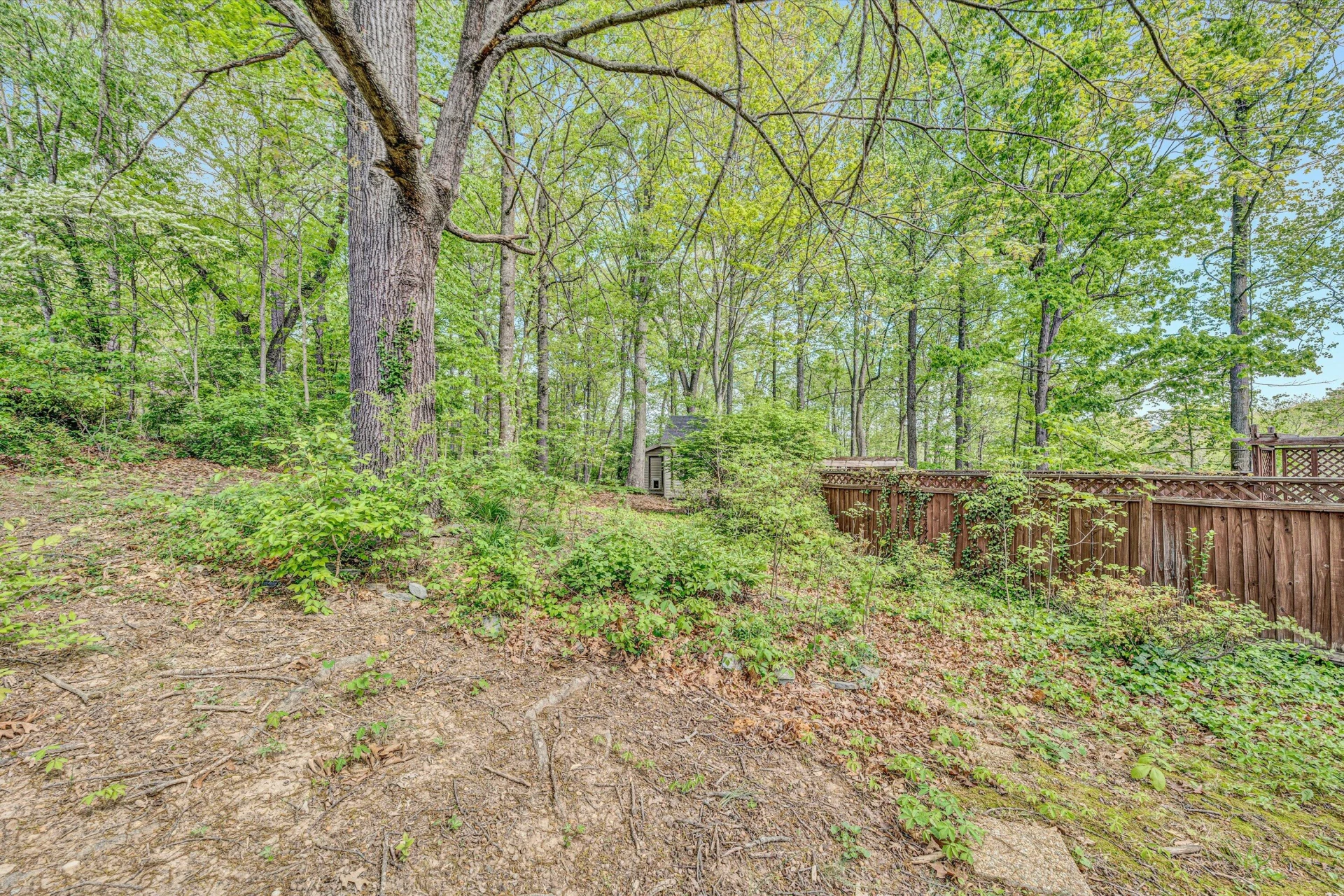 58 Dove CT - Photo 41