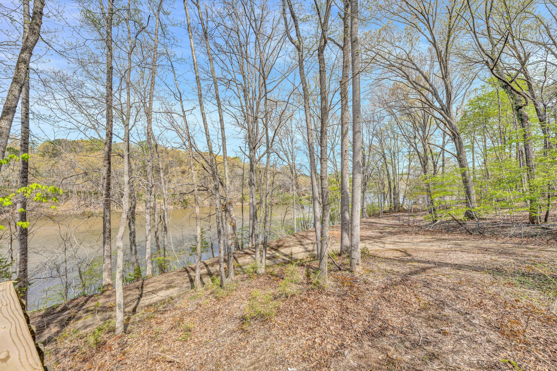 376 Limerick LN - Photo 33
