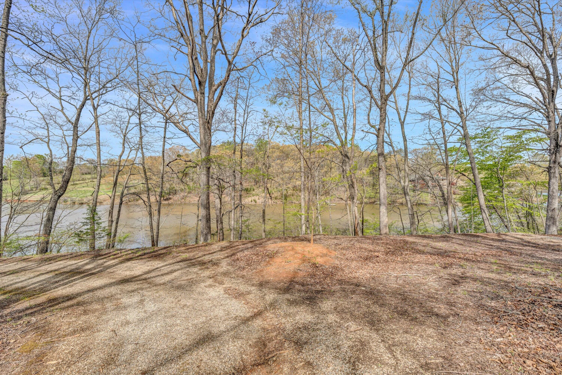 376 Limerick LN - Photo 36