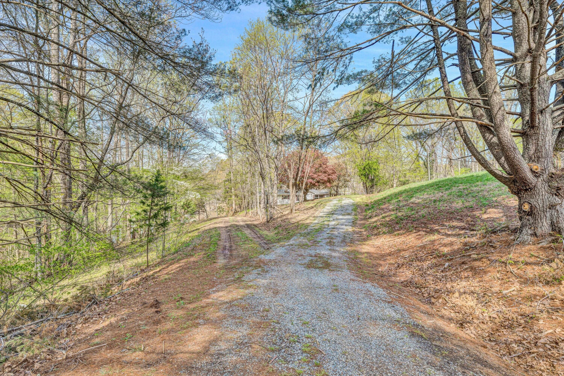 376 Limerick LN - Photo 48