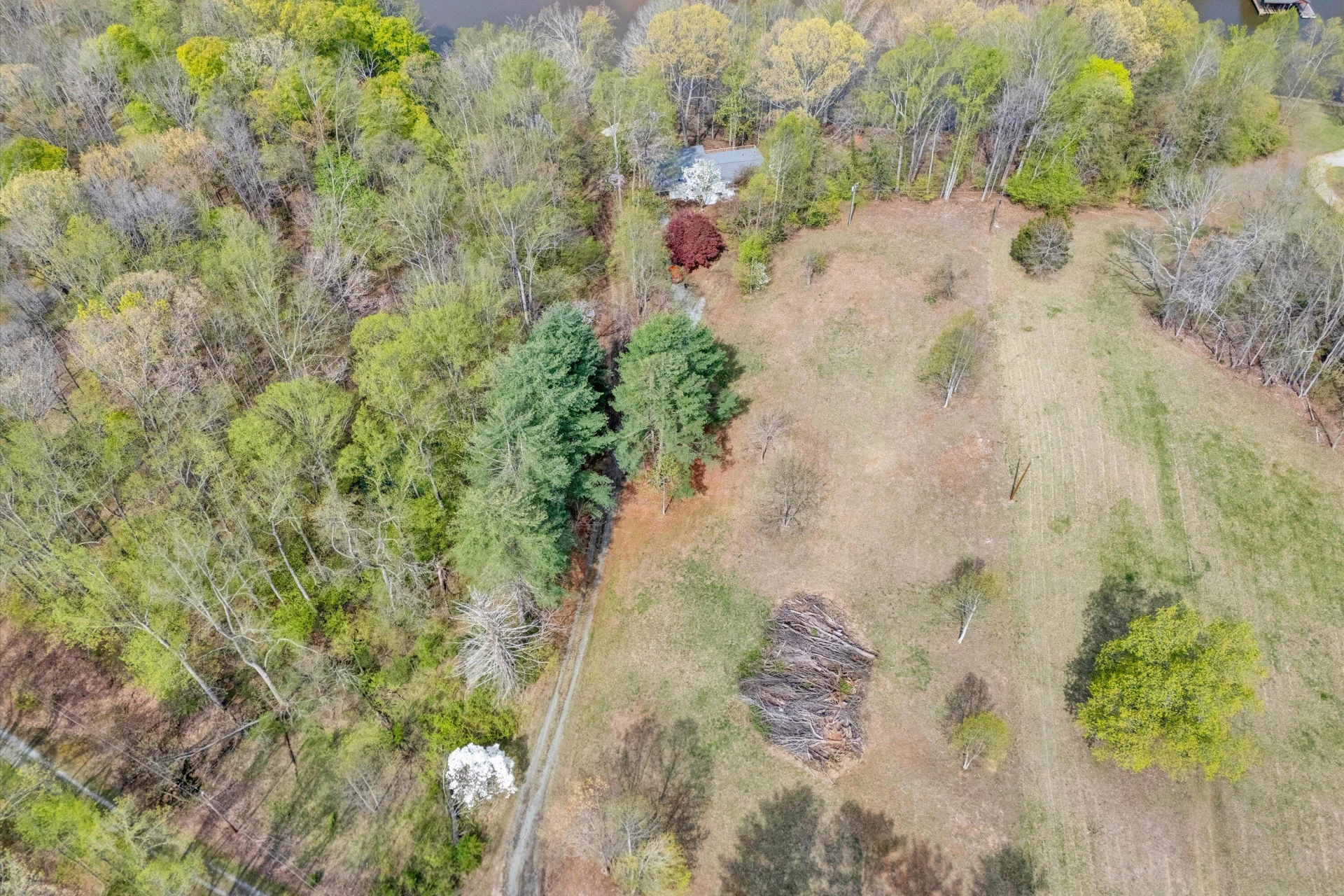 376 Limerick LN - Photo 51