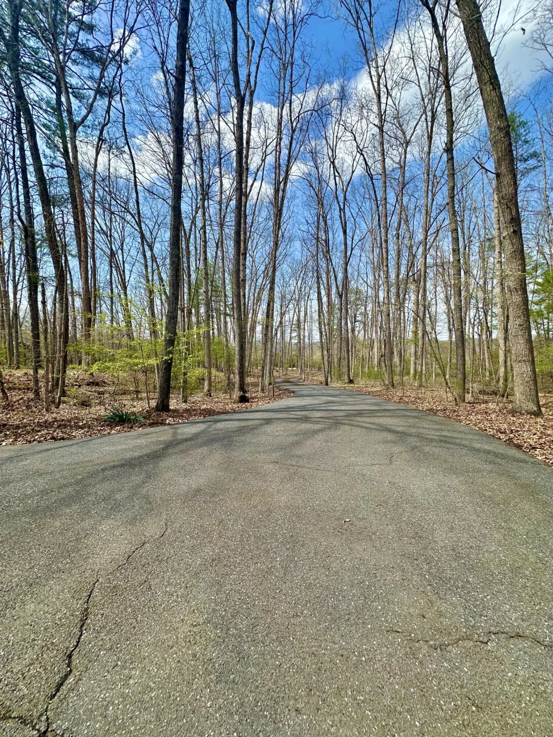 7764 Cowpasture River Hwy - Photo 11