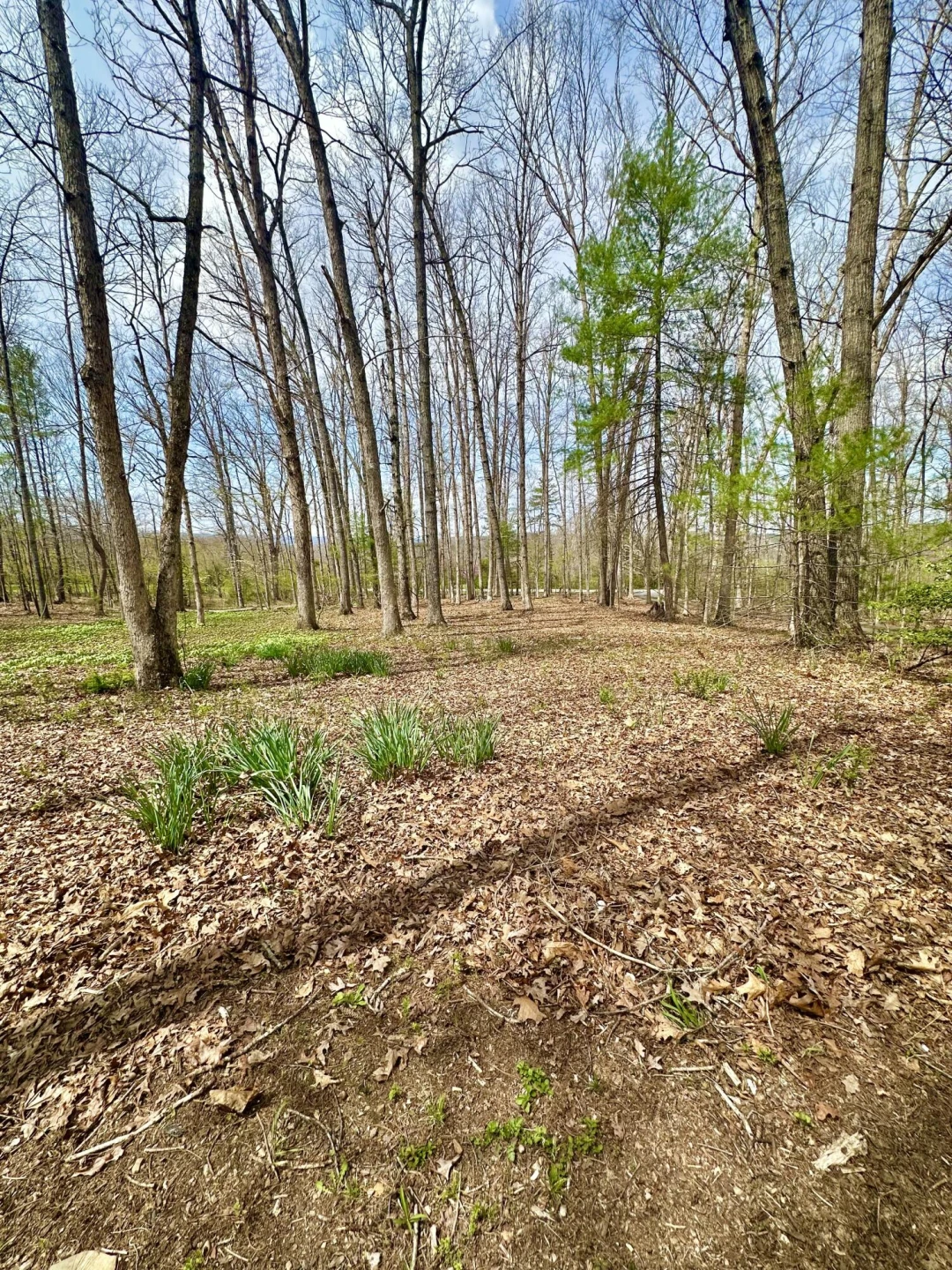 7764 Cowpasture River Hwy - Photo 12