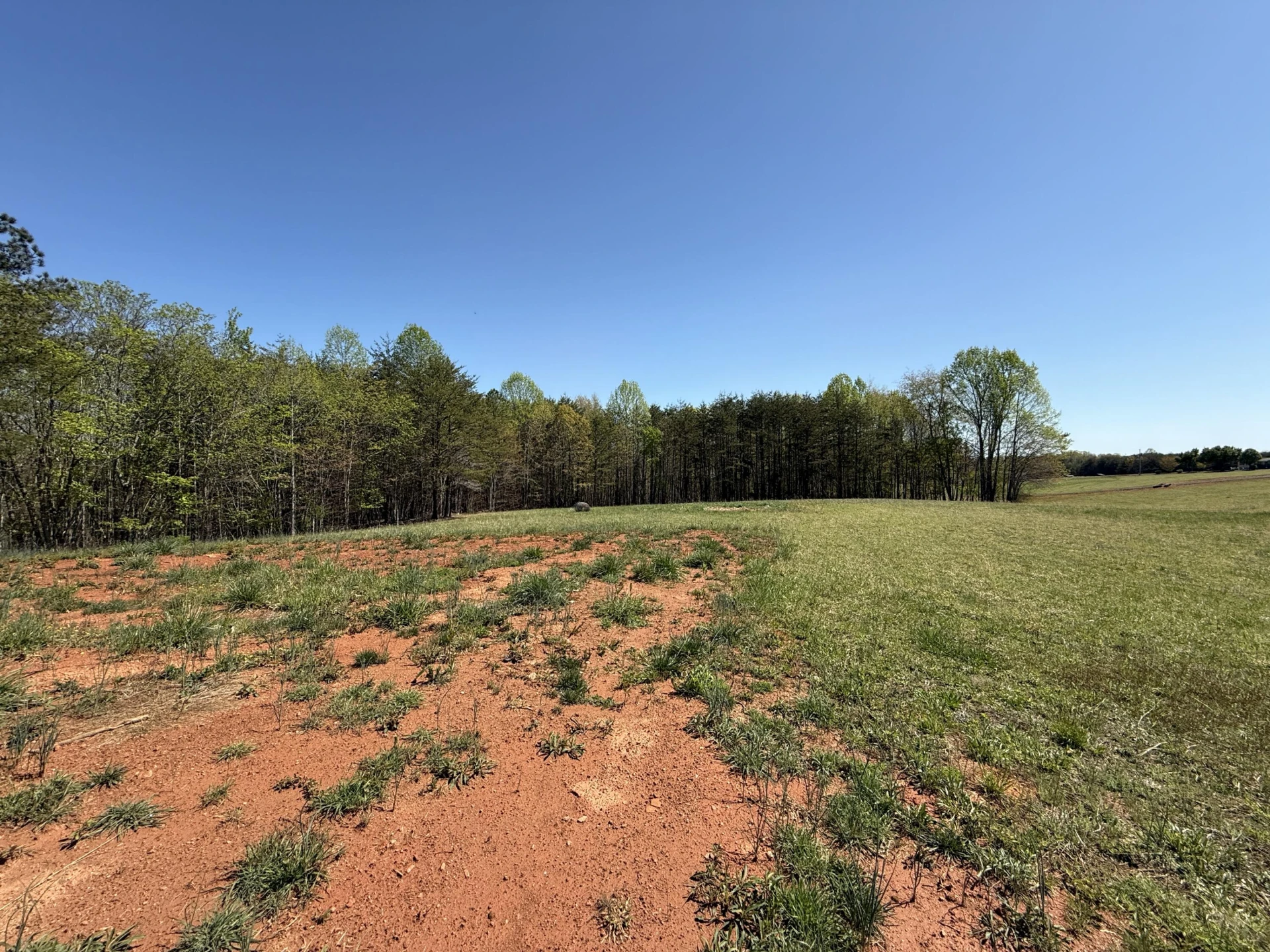 183 Willow Green LN - Photo 4