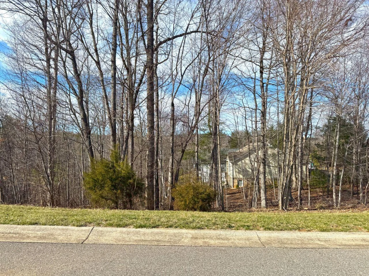 0 Avalon DR - Photo 15