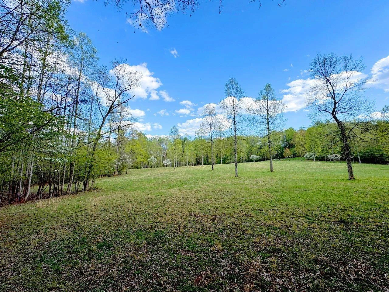 0 Avalon DR - Photo 3