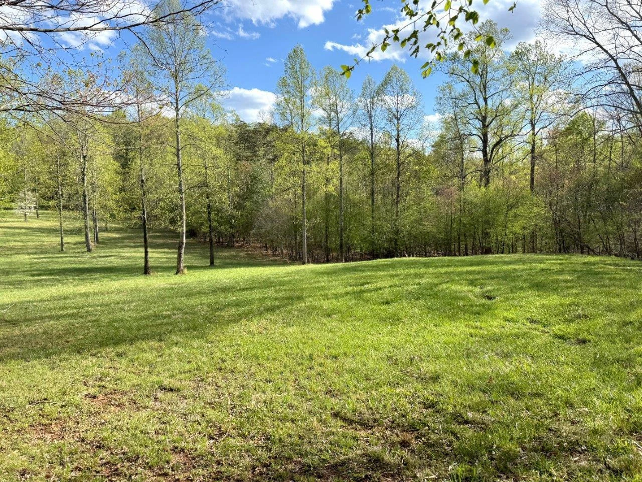0 Avalon DR - Photo 6